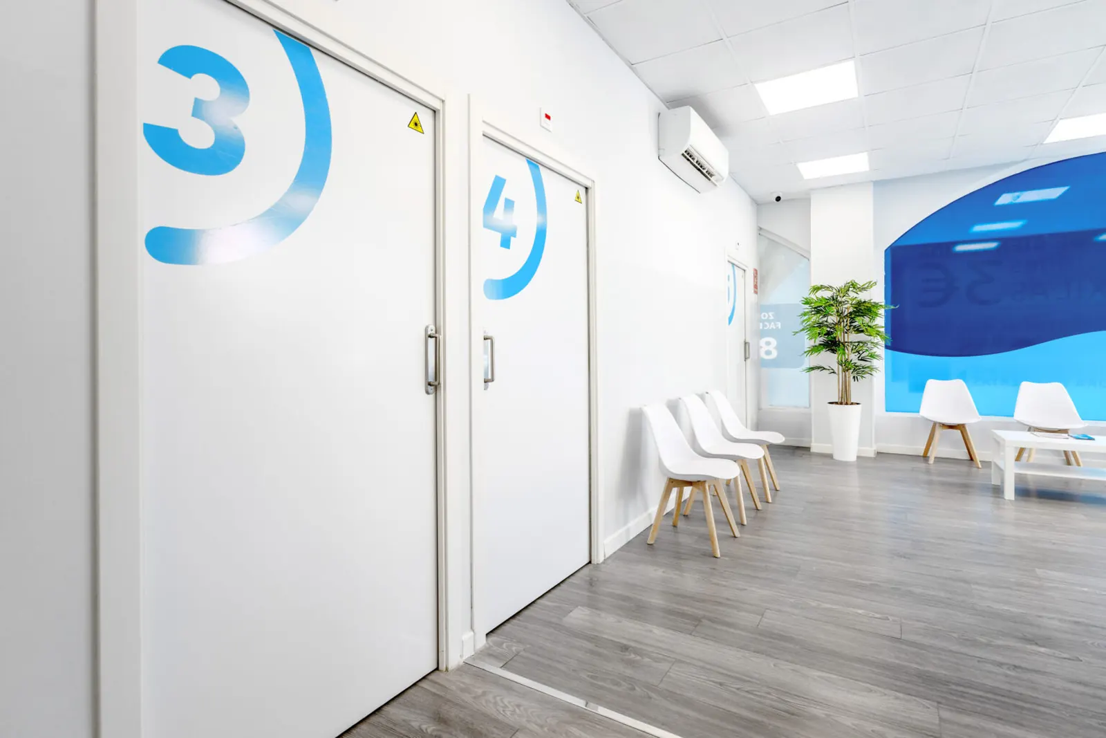 Recepción del centro Dermasana, con mobiliario claro y luz natural